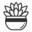 Succulent Studios logo